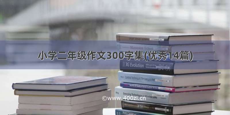 小学二年级作文300字集(优秀14篇)